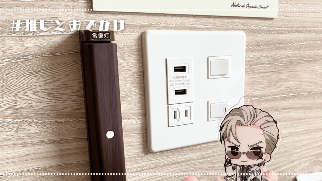 スーパーホテルPremier秋葉原_コンセント